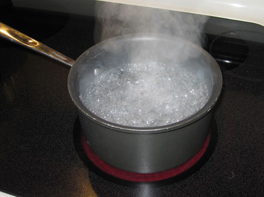 Exploring The Rising Popularity Of Water-Cooking
